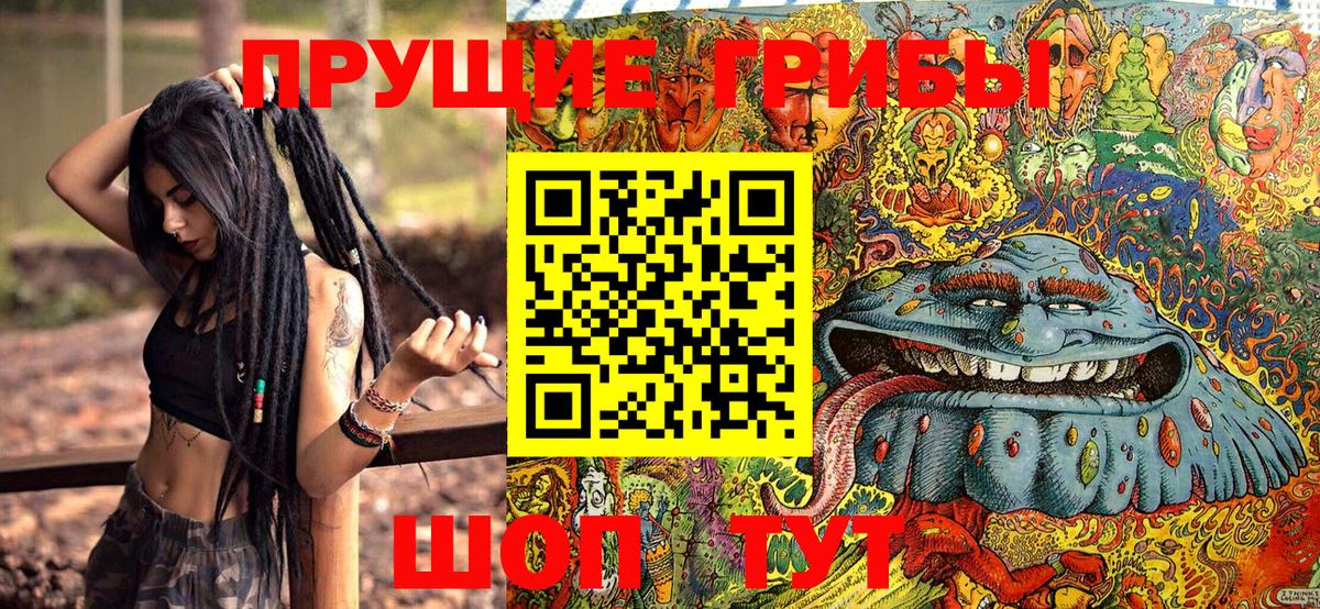 Урус-Мартан  Галлюциногенные грибы Psilocybine cubensis  Вход с VPN  Псилоцибиновые грибы MAGIC MUSHROOMS 