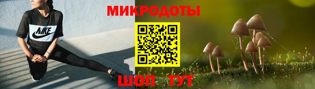 Псилоцибиновые грибы мухоморы Урус-Мартан