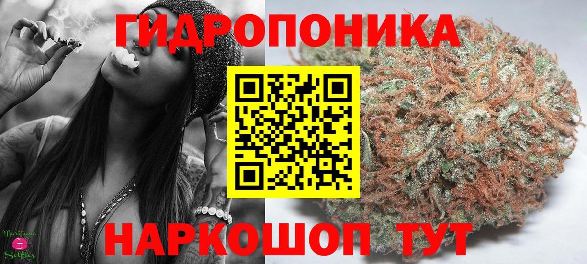 Канабис White Widow Урус-Мартан